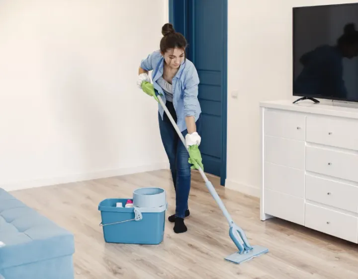 Femme de ménage Travaillan